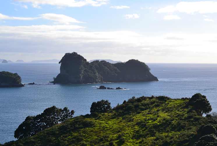 Seaside cliffs in New Zealand.